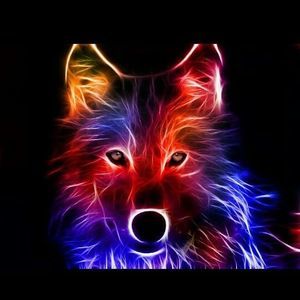 Meet your Posher, Sue